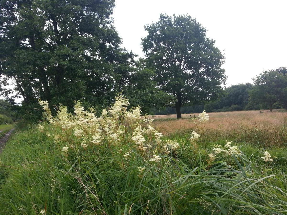 Boerderijkamer Korenbloem Onstwedde Zewnętrze zdjęcie